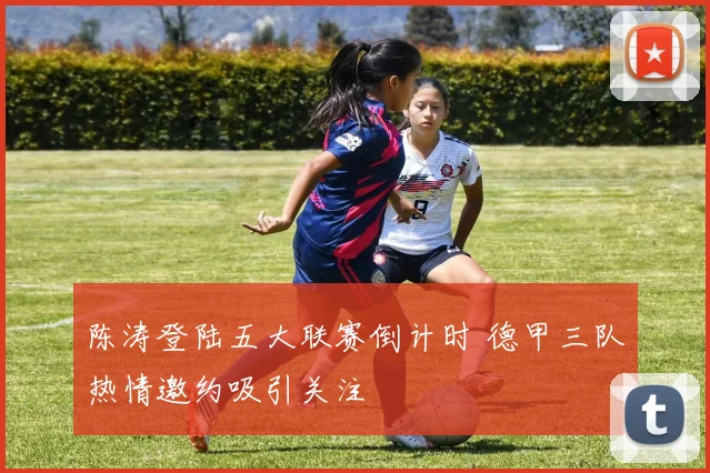 陈涛登陆五大联赛倒计时 德甲三队热情邀约吸引关注